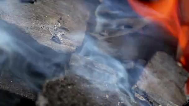 As brasas de churrasco são mais pequenas. Carvão, fogo, conceito de fogueira — Vídeo de Stock