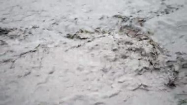 Nehir içine fışkıran kirli kahverengi güçlü su akan. Görüntüleri kapatın. Yağmur veya kasırga sonra Flood