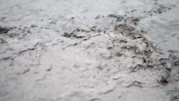 Eau brune sale et forte qui jaillit dans la rivière. Fermez les images. Inondation après pluie ou ouragan — Video