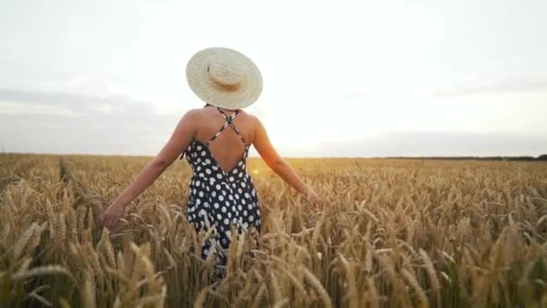 Неузнаваемая девушка в соломенной шляпе ходит по золотому пшеничному полю. Элегантная сексуальная леди в длинном винтажном платье. Золотой час. Урожай, концепция путешествия . — стоковое видео
