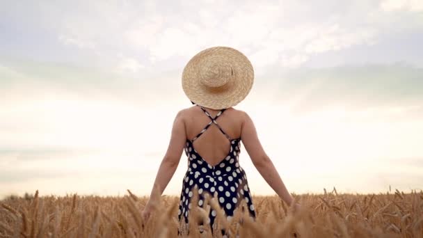 野原に立つ麦わら帽子をかぶった認識できない女性。オープンバックのドレスを着た女性。ゴールデンアワー収穫、旅行コンセプト. — ストック動画