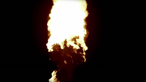 Set di 4 epiche fiamme di fuoco su sfondo nero. Ottimo per creare effetti video, compositing digitale. Concetto di lanciafiamme o spettacolo di fuoco — Video Stock