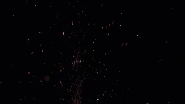Sprankelende vuurwerk op zwarte achtergrond tijdens het vieren van vakantie. Perfect voor het maken van video-effecten, digitale compositing. — Stockvideo