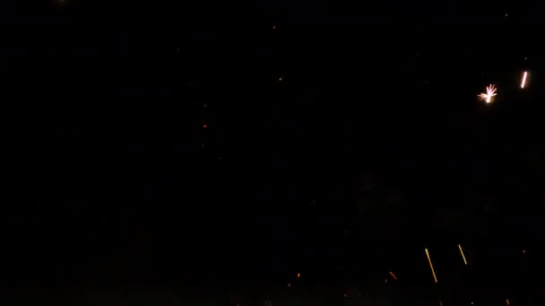 Fuegos artificiales brillantes sobre fondo negro durante la celebración de las vacaciones. Perfecto para crear efectos de vídeo, composición digital . — Vídeos de Stock