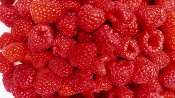 Frische Himbeeren. Gesunde Ernährung, biologische Ernährung. Draufsicht von oben. — Stockvideo