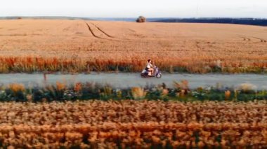 Havadan, insansız hava aracı görüntüleri. Şapkalı kadın buğday tarlaları arasında retro scooter sürüyor