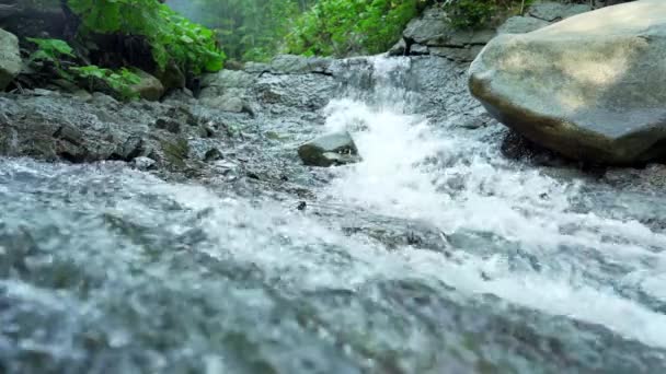 Bergbeek stroomt neer tussen stenen in het voorjaarbos. Concept van de natuur, zuiverheid, versheid. Mooie achtergrond. — Stockvideo