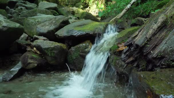 Der Fluss entspringt hoch in den Bergen. Naturbegriff, Reinheit, Frische. schöner Hintergrund. — Stockvideo