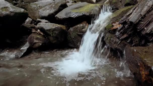 El arroyo de montaña fluye entre las piedras en el bosque de primavera. Concepto de naturaleza, pureza, frescura. Hermoso fondo . — Vídeo de stock