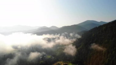 Dağ kaplı çam ağaçları, bulutlar, sis inanılmaz görünümü. Uçan insansız hava aracı. Avrupa'da Yaz Karpatlar.Uçuş kavramı, doğa, gezegenimizin nefes kesen güzelliği.