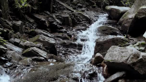 Il fiume ha origine in alta montagna. Concetto di natura, purezza, freschezza. Bellissimo sfondo . — Video Stock