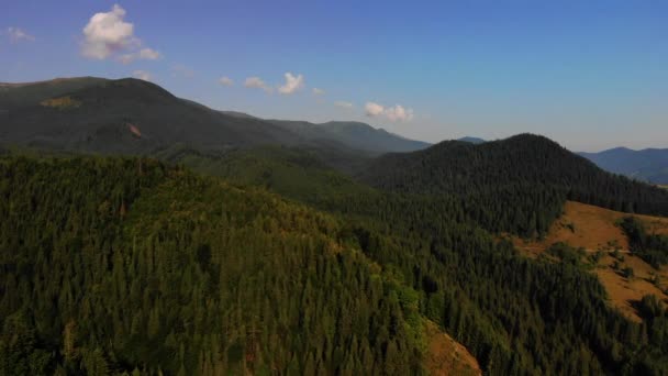 Oszałamiający widok na góry pokryte sosnami z latającego drona. Lato w Europie Karpaty. koncepcja lotu, natura, zapierające dech w piersiach piękno naszej planety. — Wideo stockowe