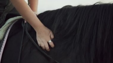 Dişi el atları siyah yele kaşımak. Aşkla atını okşatan kadının yakın çekimi.