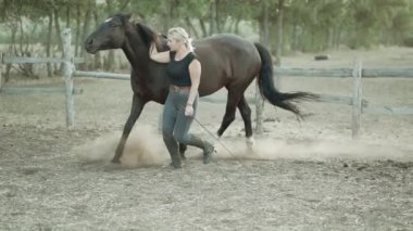Çiftlikte at eğitimi. Güzel bir kadın ahırda aygırın yanında koşar. Çiftlik hayvanları, eğitim, at yarışı, doğa