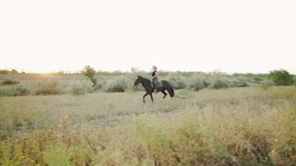 Молода жінка катається на конях у повільному русі на зеленому полі. Осінній сезон. Концепція сільськогосподарських тварин, навчання, перегони на конях, природа — стокове відео