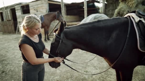 Женщина запрягает лошадь перед скачками или прогулками. Обучение на ранчо. Концепция сельскохозяйственных животных, любовь, дружба природы — стоковое видео