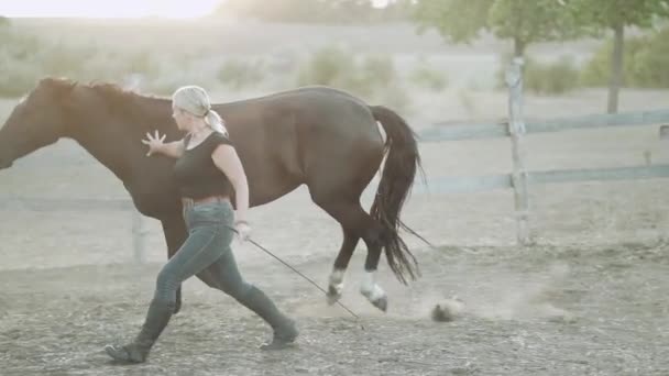 若い女性は牧場で馬を訓練する。家畜の概念、トレーニング、競馬、自然。スローモーション. — ストック動画