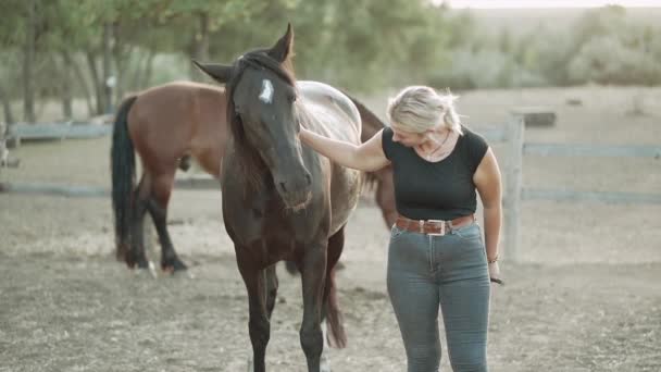 Η νεαρή γυναίκα εκπαιδεύει το άλογο στην μάντρα στο ράντσο. Έννοια των ζώων της φάρμας, προπόνηση, ιπποδρομίες, φύση. Αργή κίνηση. — Αρχείο Βίντεο