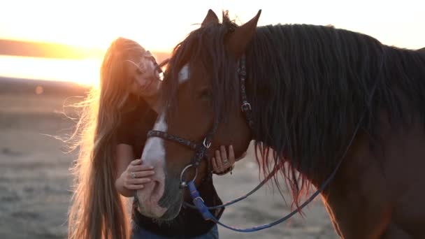 Szőke nő simogatja és ölelgeti a lovat. Gyönyörű hölgy fekete csődörrel élvezi a naplementét. Szerelem és barátság koncepció. Lassú mozgás..