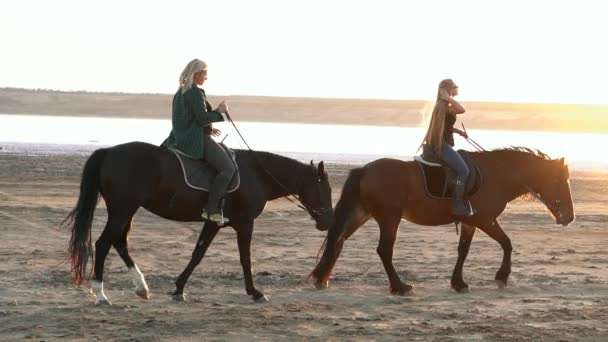 黄金の光の夕日や日の出で川に沿って馬に乗る女性のビュー。水のそばの砂漠を歩いているスタリオン。スローモーション — ストック動画
