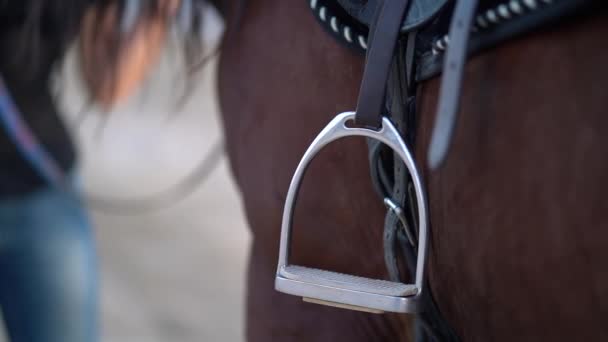 Details of brown horse saddle with stirrups. Equestrian, animals, farm, sport concept. Horsewoman stands next to stallion before training — Stock Video
