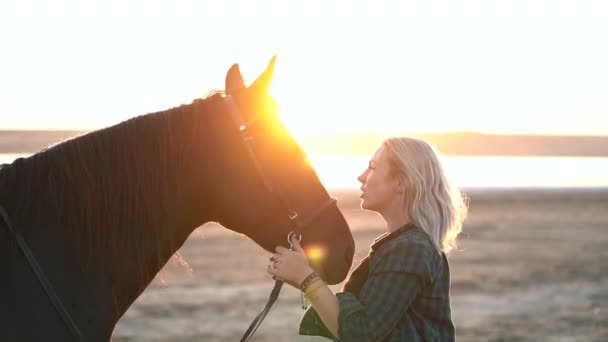 Porträtt av en vuxen kvinna med vacker häst i naturen. Solljus, siluett. Begreppet kärlek till mindre bröder, omsorg och djurträning. — Stockvideo