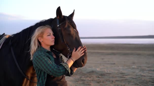 Mulher loira acariciando e abraçando cavalo. Linda senhora com garanhão preto desfrutando da natureza do pôr do sol. Conceito de amor e amizade. Movimento lento . — Vídeo de Stock