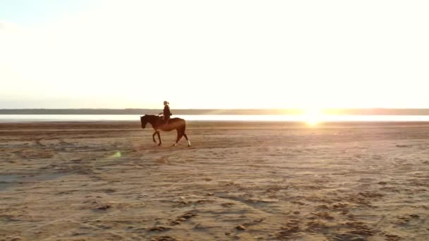 Mulher monta cavalo na bela paisagem da natureza outono por rio ou lago. Vista aérea de drones. Conceito de animais de fazenda, treinamento, corridas de cavalos — Vídeo de Stock