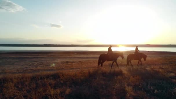 Drone vista aerea di donna a cavallo sulla costa aperta. Addestramento allo stallone. Correre con il cavallo alla luce del tramonto. Natura, amore, concetto di bellezza — Video Stock