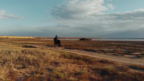 Rijder trainer te voet met paard hengst in de natuur door de rivier. Vrouw galoppeert. Geweldige herfstscène. Drone vanuit de lucht gezien. — Stockvideo