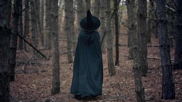 Nerozpoznatelná žena jako černá čarodějnice kráčí mezi stromy v podzimním lese.Dívka v dlouhých šatech, pláštěnce, víla klobouk. Halloween koncept, cosplay oblékání