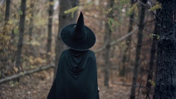 Unerkennbare Frau als schwarze Hexe geht zwischen Bäumen im herbstlichen Wald. Mädchen in langem Kleid, Umhang, Feenhut. Halloween-Konzept, Cosplay-Verkleidung — Stockvideo