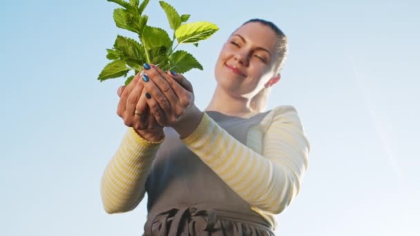 Joven bonita jardinera sosteniendo en sus manos joven planta germinada en el suelo. El granjero admira, sonriendo. Dolly, toma de cerca con destellos de sol. Agricultura, ecología, granja, concepto de cosecha — Vídeos de Stock