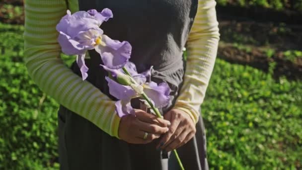 Mujer jardinero en un delantal de trabajo sostiene en sus manos una ramita de flor de iris. Hermosa escena en el jardín con destello de sol. Movimiento lento . — Vídeos de Stock