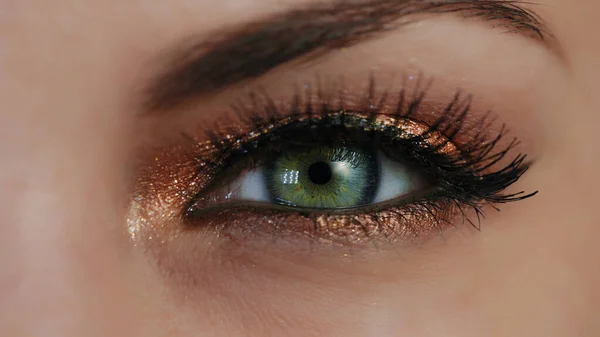 Ekstremalne zbliżenie tęczówki ludzkiego oka. Kobieta z pięknym makijażem, błyszczącymi cieniami i sztucznymi rzęsami. Kobiety z zielonymi oczami — Zdjęcie stockowe