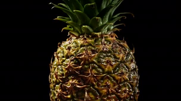 Siyah arka planda dönen sulu, taze bir ananas. Meyve izole edilmiş. Tropikal ürünün makro yüzeyi. 4 bin. Yüksek kaliteli görüntüler. — Stok video