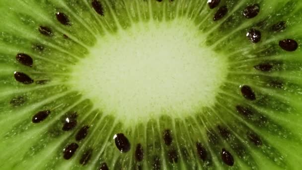 Vista macro de la rotación de rodajas de kiwi. Extremo primer plano de textura jugosa verde con semillas de frutas exóticas. Concepto de comida saludable, productos veganos. Fondo colorido. — Vídeos de Stock