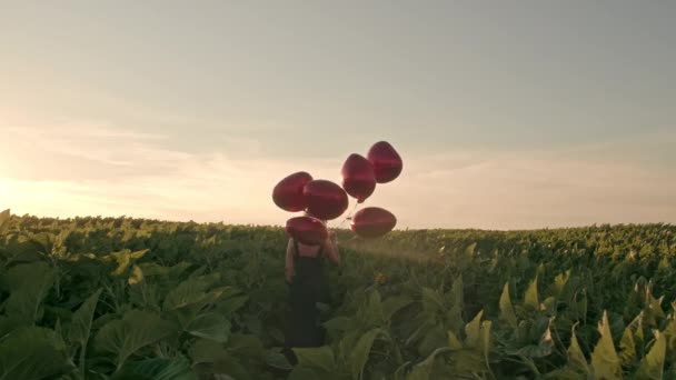 Aantrekkelijke vrouw in vrouwelijke midi jurk hebben plezier met hartvormige ballonnen op groene natuur achtergrond. Zonsondergang licht. Verjaardag meisje, vakantie, vieren vrijheid concept. Langzame beweging — Stockvideo