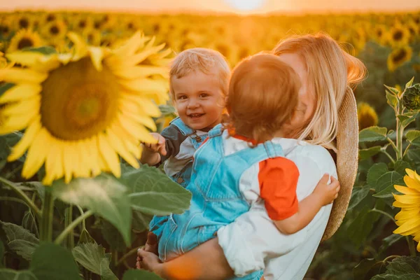 Madre con bebés gemelos hijos en el campo de girasoles durante la hora dorada — Foto de Stock