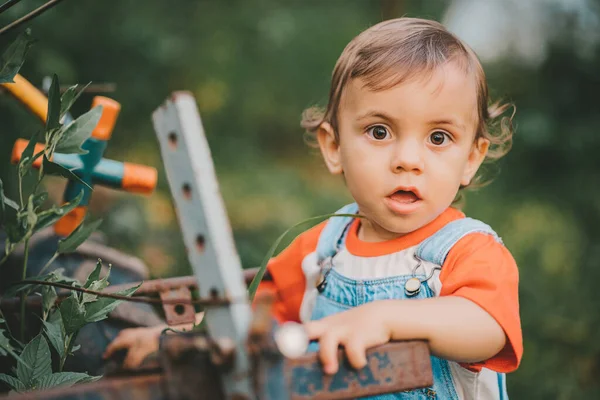 Portret zaskoczonego chłopca w ogrodzie — Zdjęcie stockowe