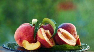 Olgun şeftaliler siyah yüzeyde su damlaları ya da çiğ taneleriyle dönüyorlar. Soyut organik fon. Sulu şeftali. Sağlıklı beslenme, tarım, çiftlik, vitamin konsepti