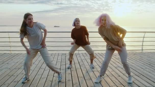 Grupo de dança de jovens mulheres doidas talentosas realizando movimentos de hip-hop estilo livre. Meninas gostando de expressão de dança moderna. Treinamento ao ar livre perto do mar ou do oceano durante o pôr do sol. — Vídeo de Stock
