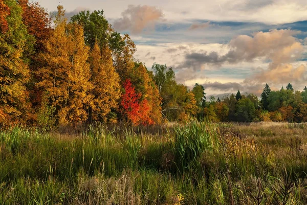 All Colors Autumn — Stock Photo, Image