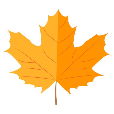Sonbahar akçaağaç yaprağı