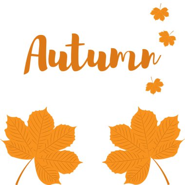 Kestane sarı sonbahar yaprakları