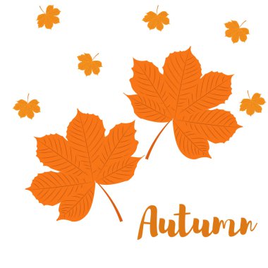 Kestane sarı sonbahar yaprakları