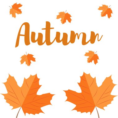 Sonbahar akçaağaç yaprağı