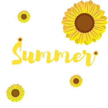 vektör çizim izole çiçek