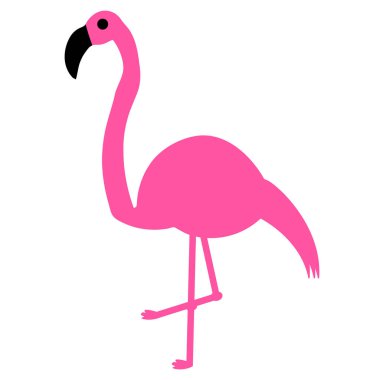Zarif pembe flamingo