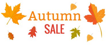 Vektör çizimi. Tasarım şablonu. Sonbahar satışları. Sarı sonbahar yaprakları